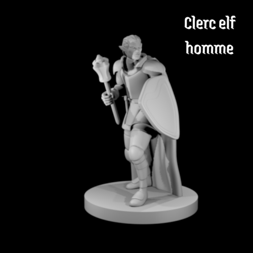 Rendus 3D d'une figurine de clerc elfe masculine en 28mm