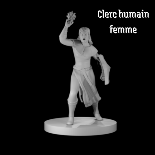 Rendus 3D d'une figurine de clerc humain féminine en 28mm
