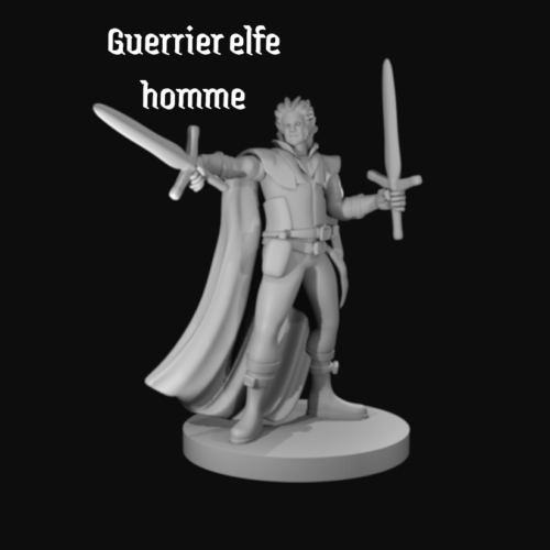 Rendus 3D d'une figurine de guerrier elfe masculine en 28mm