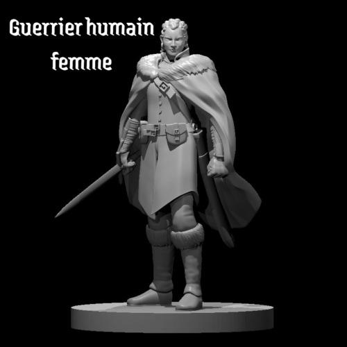 Rendus 3D d'une figurine de guerrier humain féminine en 28mm