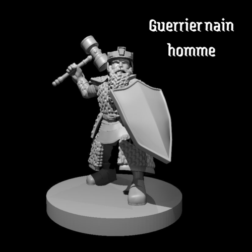 Rendus 3D d'une figurine de guerrier nain masculine en 28mm