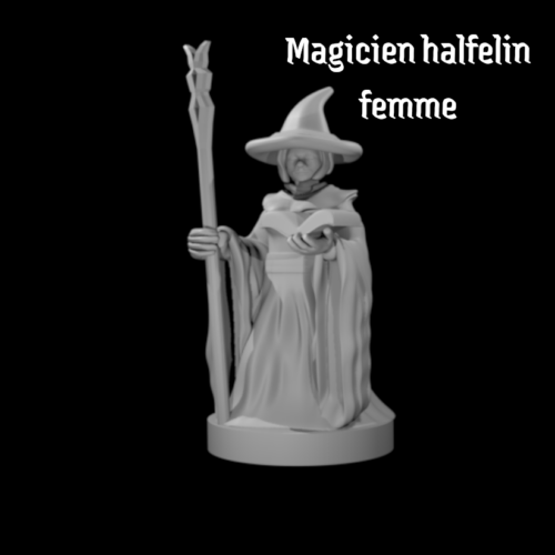 Rendus 3D d'une figurine de magicien halfelin féminine en 28mm
