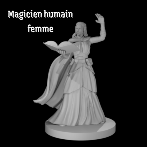 Rendus 3D d'une figurine de magicien humain féminine en 28mm